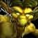 Icon for 386617